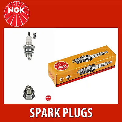 £4.25 • Buy NGK BPM7A (7321) - Standard Spark Plug / Sparkplug - Projected Centre Electrode