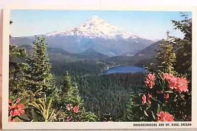 Oregon OR Mt Hood Rhododendrons Postcard Old Vintage Card View Standard Souvenir • $0.50