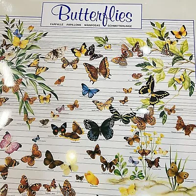 Vintage Butterfly Educational Poster Wall Art Decor Laminated 1988 Nuova Arti • $12.99