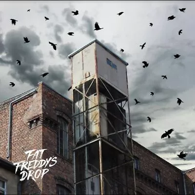 Fat Freddy's Drop Blackbird Returns Vinyl LP 2023 NEW • £31.99