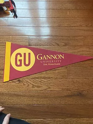 Gannon University College Pennant 18” Long Erie Pa • $2