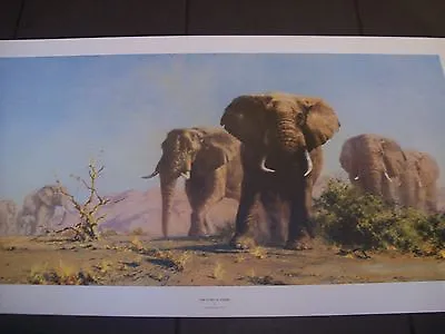 David Shepherd Elephant Print The Ivory Is Theirs • £49.99