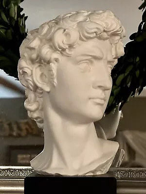 VTG Michelangelo David Signed A. Giannelli Italian Alabaster Bust/Sculpture 8.5  • $75