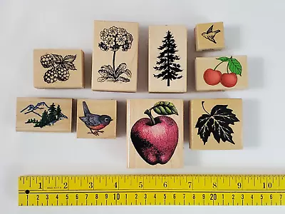 Vintage Rubber Stamp Lot Bird Flower Tree Cherry Maple Leaf • $13.35