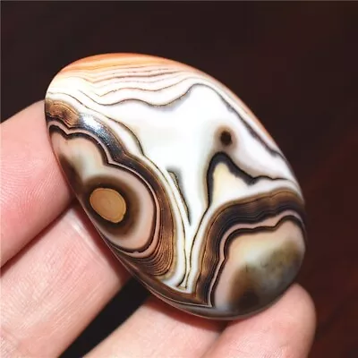 31g Natural Banded Agate Tumbled Palm Stone Crazy Lace Silk Healing Madagascar • $3.25