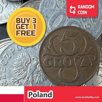 Poland Coin | 1 Random Collectible Old Polish Coin For Coin Collecting • $0.99