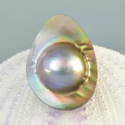 Mabe Blister Pearl In Shell Extreme Colorful Rainbow Iridescent 5.81 G Cabochon • $29