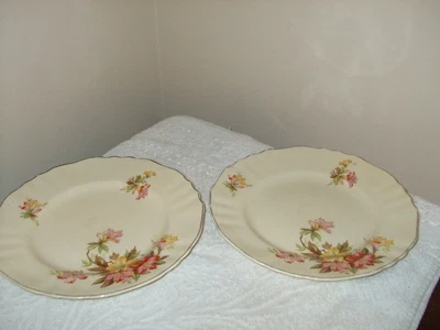 $12 • Buy 2 J & G Meakin Sunshine Dinner Plates 24 Cm Diameter In Fair Condition