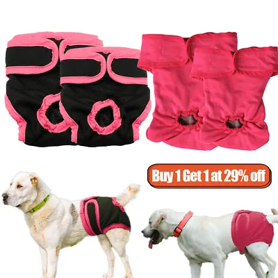 £4.19 • Buy Pet Physiological Pants For Female Dog Diapers Underwear Shorts For Puppy Doggie