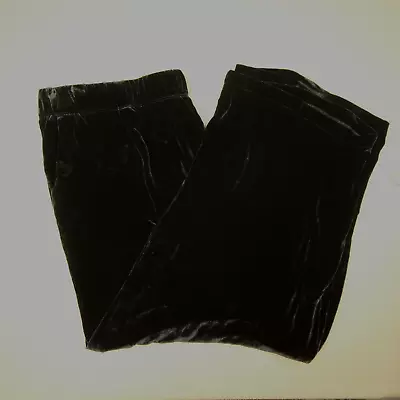 Eileen Fisher Wide Ankle Pleat Velvet Pants Women's Size 3X Black Silk Blend NWT • $87.99