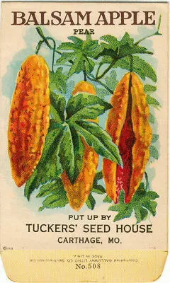 Vintage Flower Seed Packet  BALSAM  APPLE   1918  NO SEEDS  Original Lithograph • $8