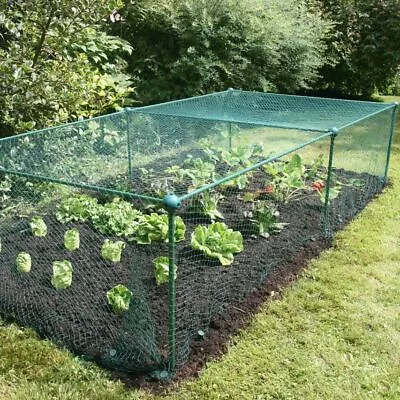 0.625m High Kit Garden Fruit Veg Cage Plant Protection With 20mm Bird Net • £36.98