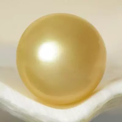$58 • Buy 0.68 G South Sea Pearl 7.80 Mm Golden Round Undrilled Maluku Indonesia