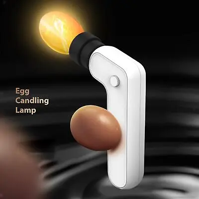 Cool LED Light Egg Candler Tester Candling Lamp Hatching For Chickens Quail • £10.56