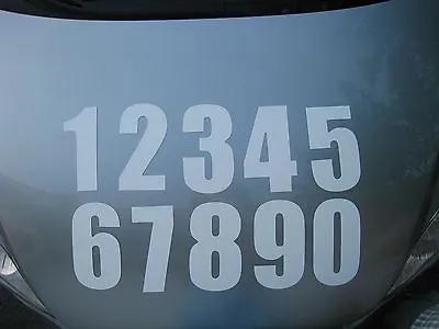 1 Custom Magnetic SCCA Solo Autocross Autox Number • $4