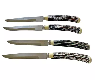 Set Of Four Vintage Steak Knives With Faux Deer Antler Handles - V.G. Condition • $12