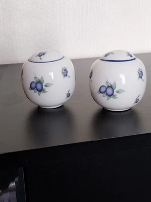 £1.99 • Buy Royal Doulton Everyday Blueberry Pattern Salt And Pepper Pots