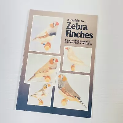 A Guide To Zebra Finches Their Colour Varieties Breeding 2000 Book John Lewis • $248