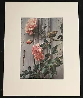 Carl Brenders  Summer Roses-Winter Wren  8 X 10 Matted Wildlife Print • $20.99