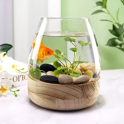 Fish Tanks Transparent Glass Wooden Tray Circular Office Small Goldfish Aquarium • $89.18