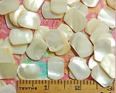 10 Vintage Rectangle Mother Of Pearl Flat Cabochon Pieces ~ Approx 3/4  X 1/2  • $5