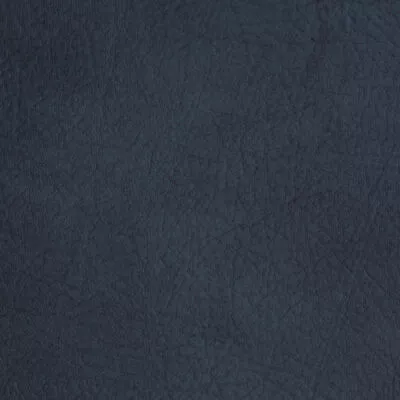 Spradling Allegro Vinyl Fabric 54  Wide • $35.81