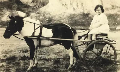 Antique Vtg RPPC Miniature Horse Pony Drawn Buggy Cart Young Girl Dress #33 • $7.99