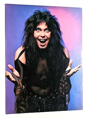 W.a.s.p. / Blackie Lawless / Poison / Magazine Full Page Pinup Poster Clipping  • $14.99