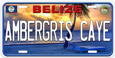 Ambergris Caye Belize Novelty Car License Plate • $17.85