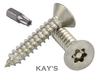 COUNTERSUNK SECURITY SCREWS TORX SELF TAPPING WOOD STAINLESS STEEL No.681012 • £146.69