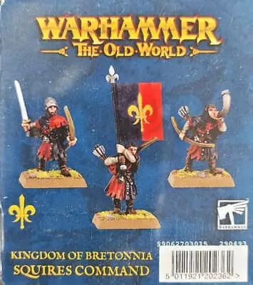 Squires Command Kingdom Of Bretonnia Warhammer Old World WBGames • $38