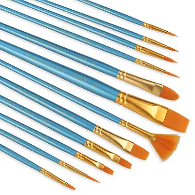 12Pcs Professional Artist Nylon Paint Brushes Set For Oil Watercolor Art Model • $8.48