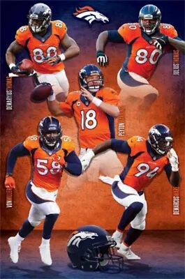 $10.95 • Buy Denver Broncos NFL Team 2014 Rolled Sports Poster Print 22  X 34 