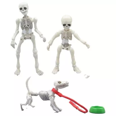 3pcs Cute Fashion Design Mr. Bones Mini Pose Skeleton Model Decorations With Dog • $18.99