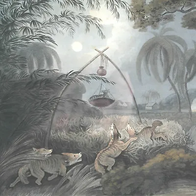 £106.61 • Buy 1819 Samuel Howitt  The Common Wolf Trap  Antique Oak Framed Illustration
