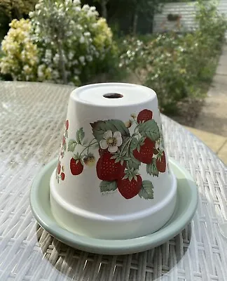 Flower Pot Ashtray - Incense Terracotta Pot - 15cm  Strawberry Decals Cream Sage • £14.99