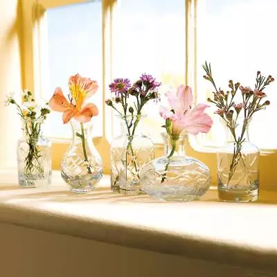 Set Of 5 Mini Vases For Flowers - Five Piece Small Glass Bud Vases - Clear • $19.99