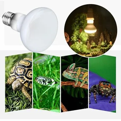 £5.50 • Buy 25/50/75/100W E27 Reptile Basking Light Heat Lamps Heater UVA Halogen Bulbs