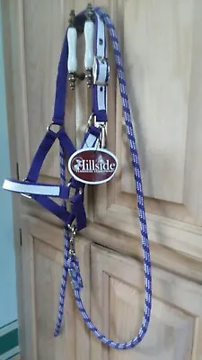 New Nylon Halter Foal Horse Mini Pony Purple With White Overlay & Matching Lead • $22