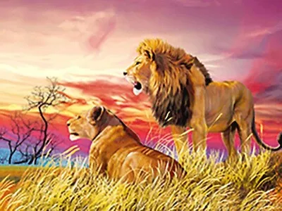 LIONS PAIR UNDER AFRICAN SKY - 3D LENTICULAR PICTURE 400mm X 300mm • £7.95