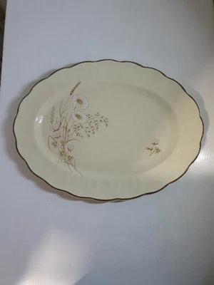 £9.85 • Buy Royal Doulton - Lambethware - Norfolk - Oval Meat Platter (16 )
