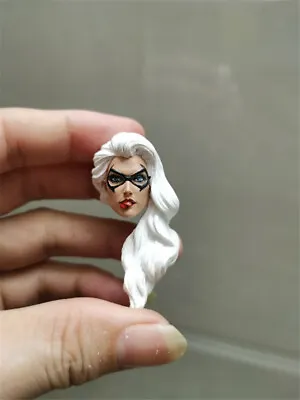 1:12 Catwoman White Hair Head Sculpt Carved For 6inch Female Action Figure Doll • $50.86