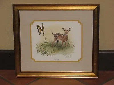 Vintage R. J. McDonald  Spring  Deer Fawn & Butterfly Signed Framed Print • $60