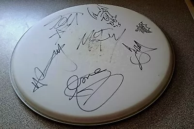 McFLY SIGNED DRUMHEAD 2009 • £100