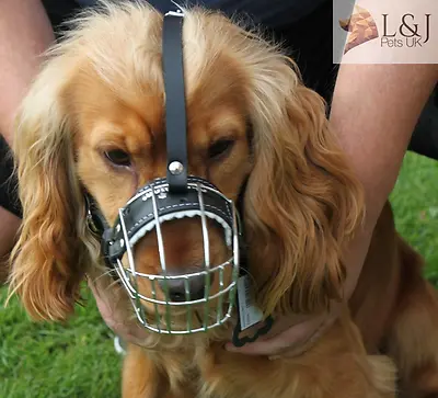 £19 • Buy  New Metal STRONG Wire Basket Dog Muzzle For Cocker Spaniel  3 - 3X