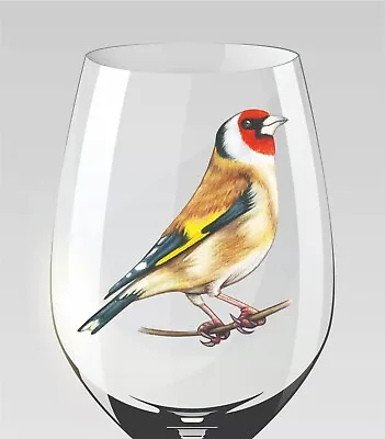 X9 Goldfinch Bird-Vinyl Decal Stickers-Wine Glass/Window/Wall Decals 1046 • £3.99