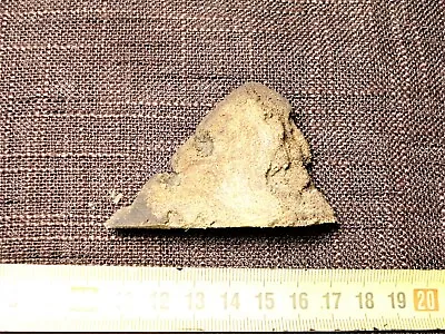 WOOLLY MAMMOTH Genuine Sole Of The Foot Fragment Pleistocene 226 G Very Rare! • $299