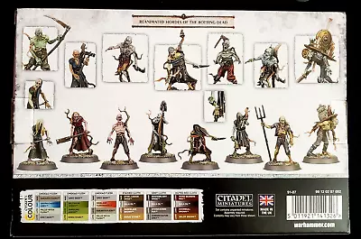 10 Deadwalker Zombies NO BOX Soulblight Gravelords Warhammer Sigmar Grave Nagash • $44.90