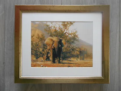 David Shepherd Print 'Desert Elephant - The Kaokoveld'  FRAMED • £22