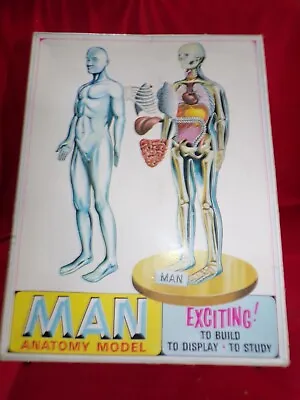 Vintage NOS Pyro Man Anatomy Model Kit SEALED S377-300 Anatomy Medical Biology • $20